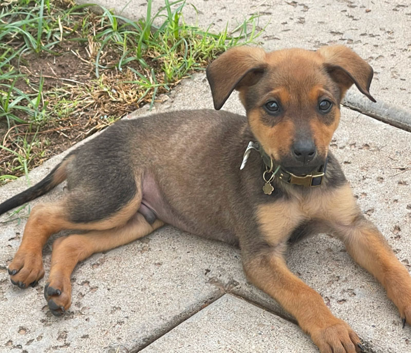 About-Us-Team-August