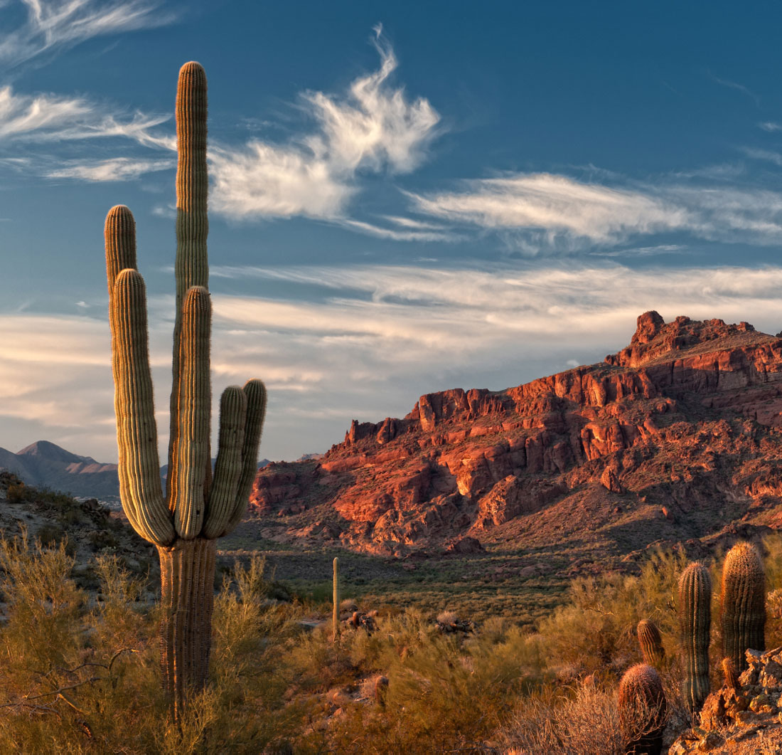 Contact-Us-Company-Information-Image