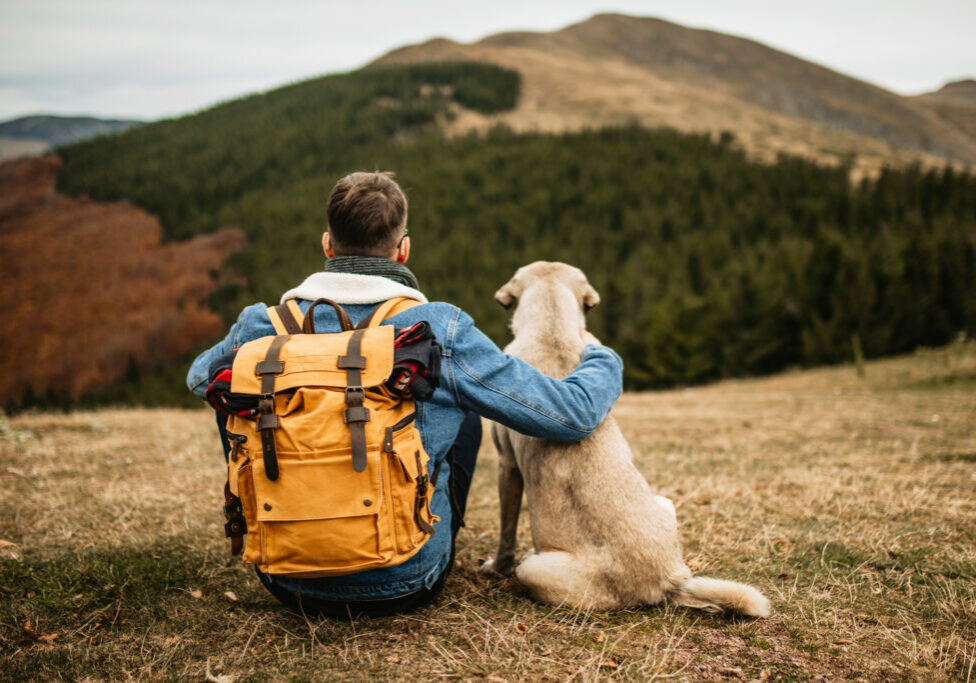 Young hiker man sitting on the mountain peak with his shepherd dog, watching the landscape