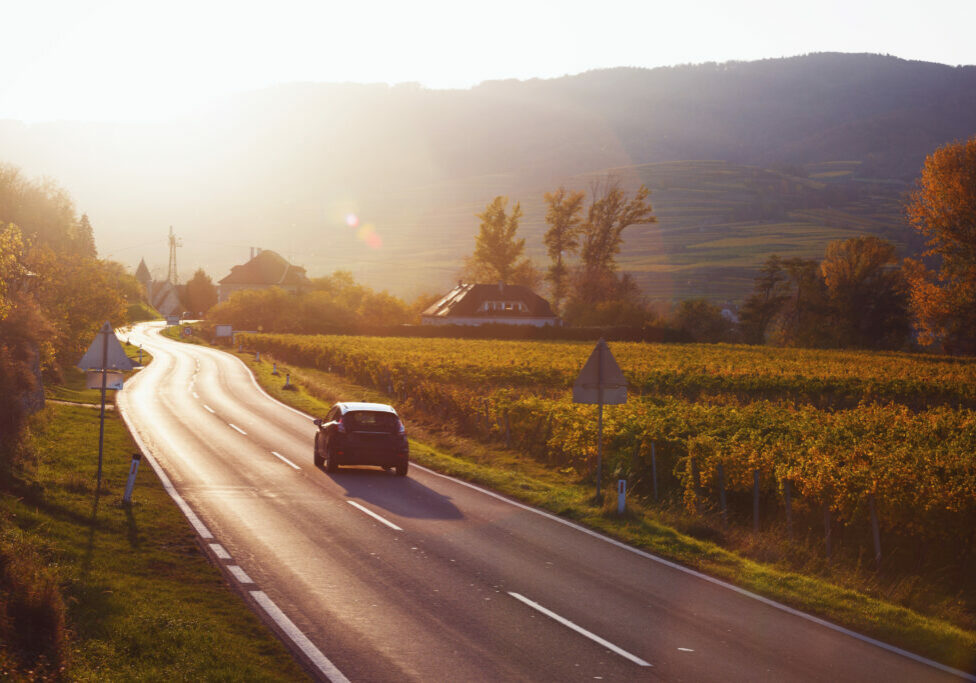 Mountain road - road through the vineyards at sunset. Wachau Valley"n